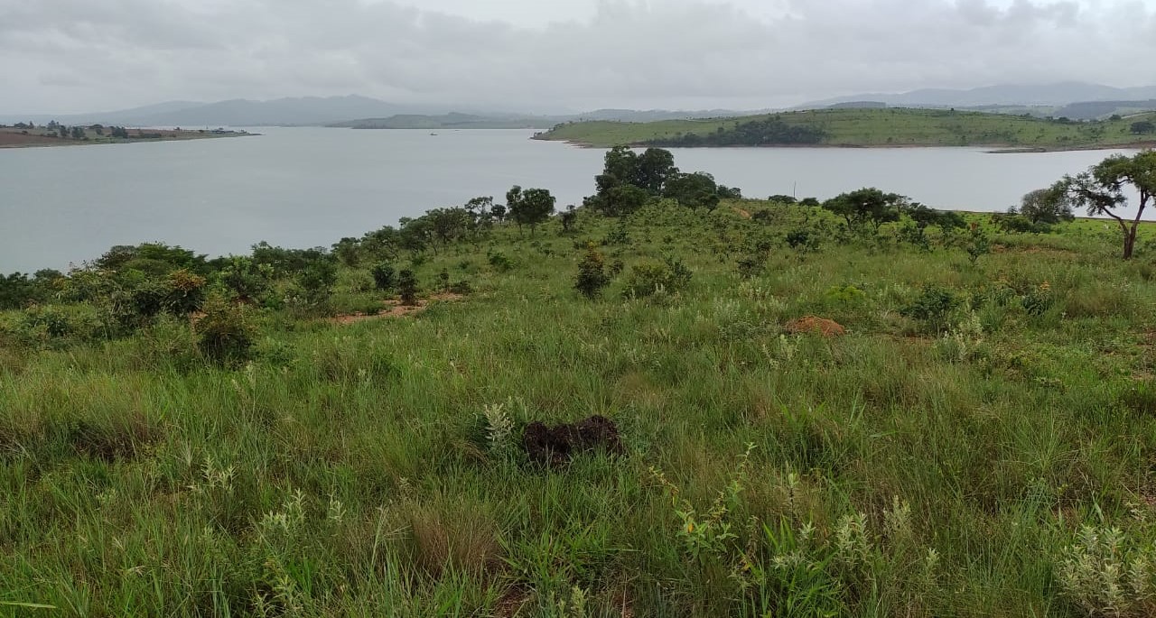 Fazenda à venda com 1 quarto, 950000m² - Foto 16