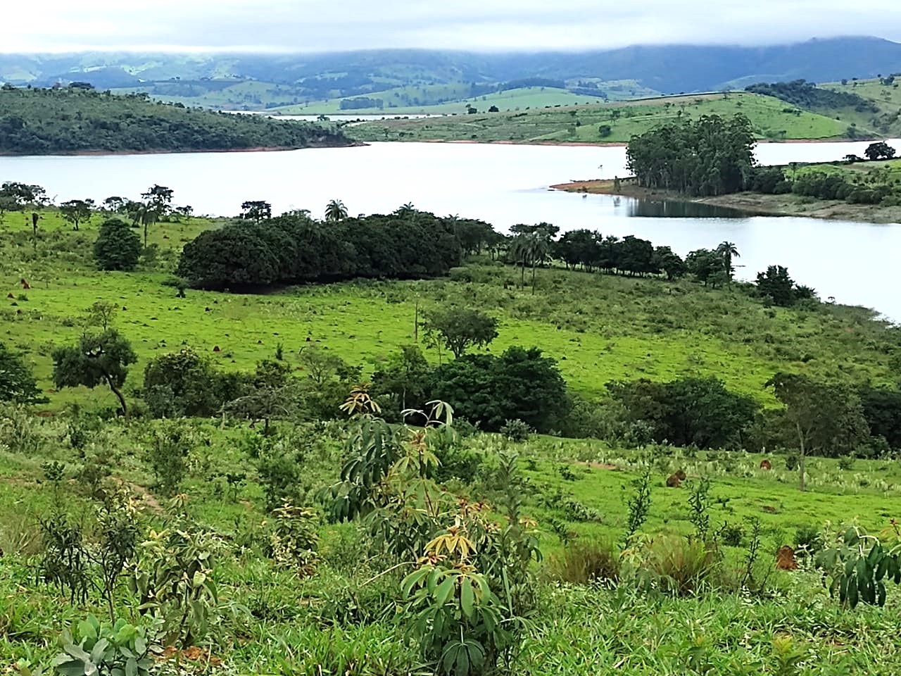 Fazenda à venda com 1 quarto, 950000m² - Foto 4