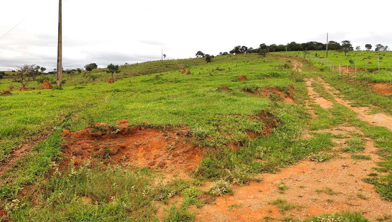 Fazenda à venda com 1 quarto, 950000m² - Foto 22