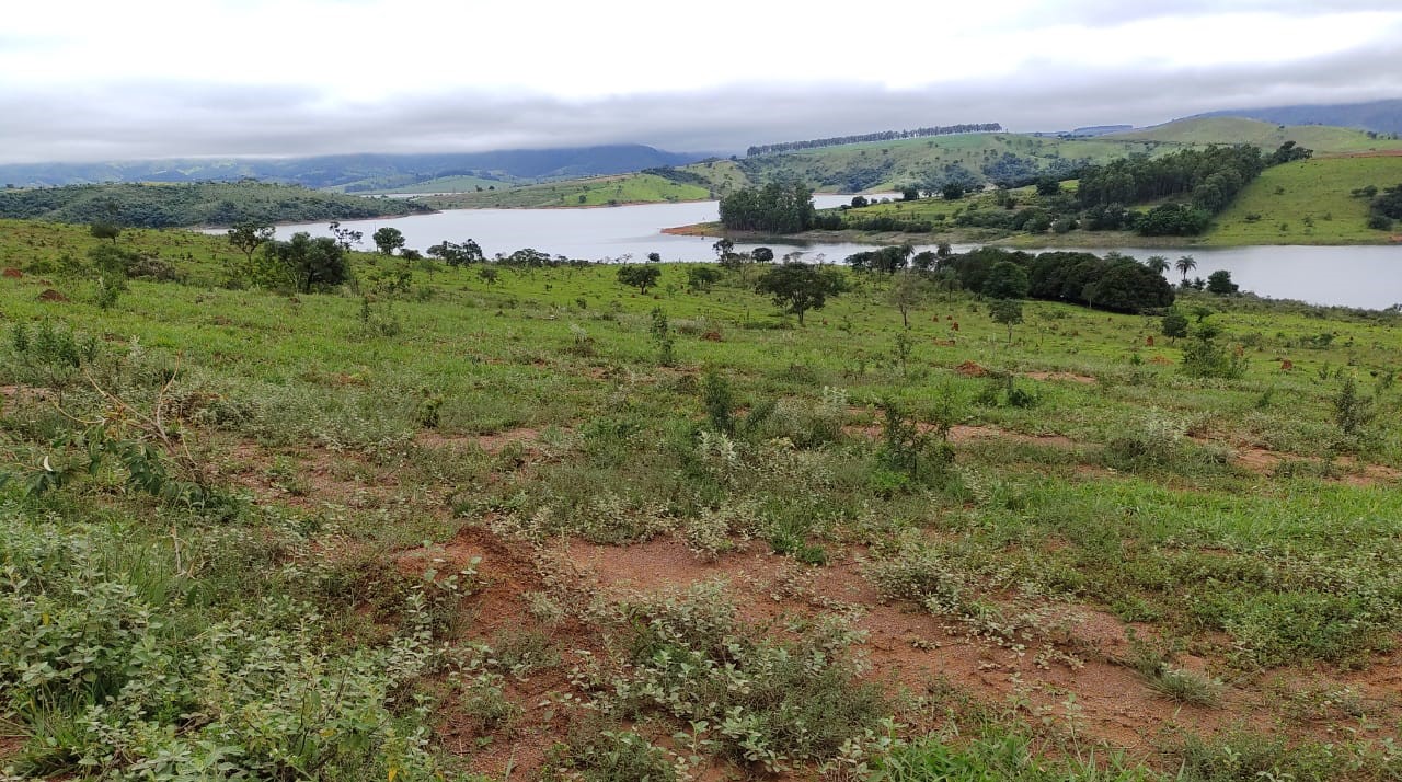 Fazenda à venda com 1 quarto, 950000m² - Foto 8