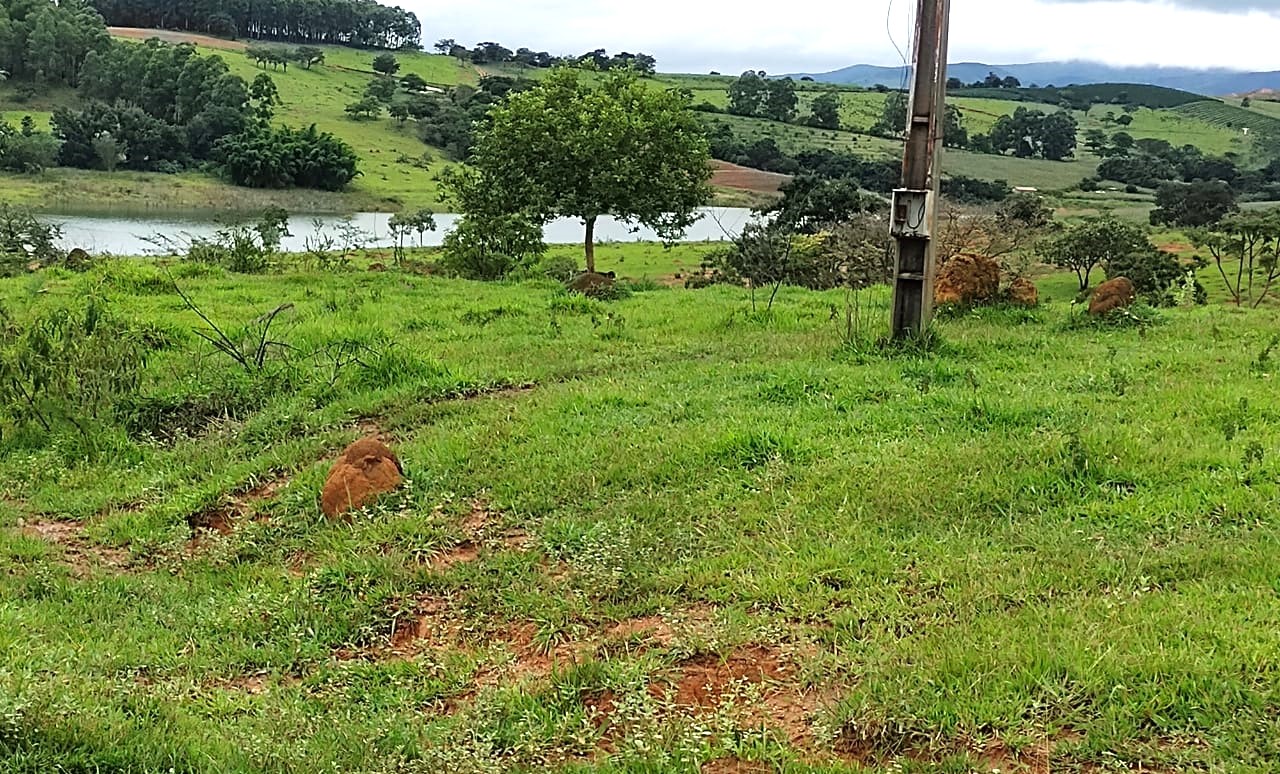 Fazenda à venda com 1 quarto, 950000m² - Foto 10