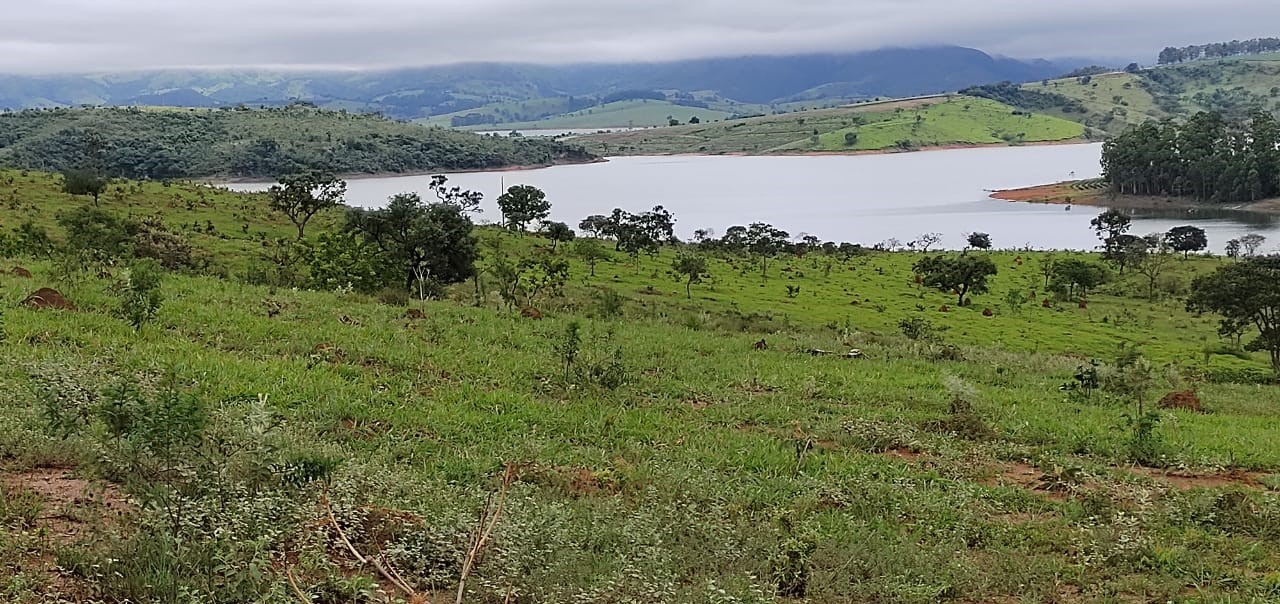 Fazenda à venda com 1 quarto, 950000m² - Foto 1