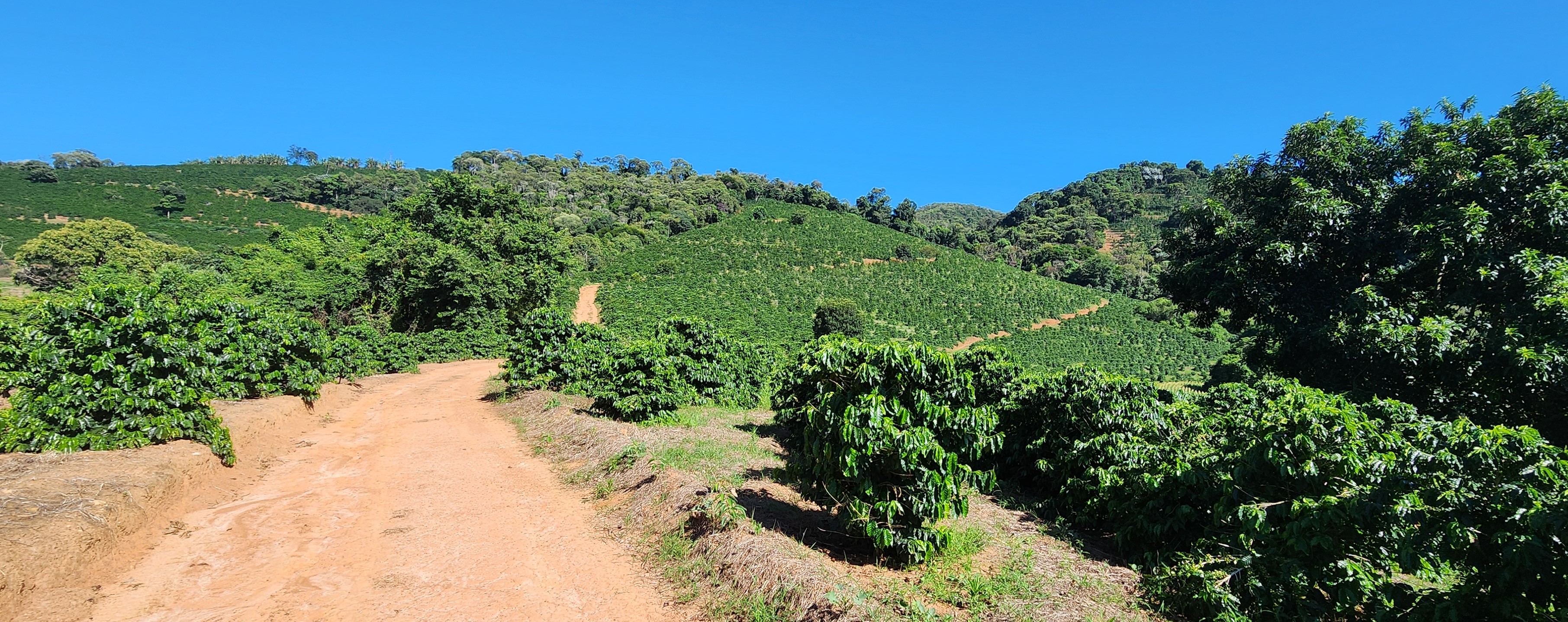 Fazenda à venda com 1 quarto, 1620000m² - Foto 14