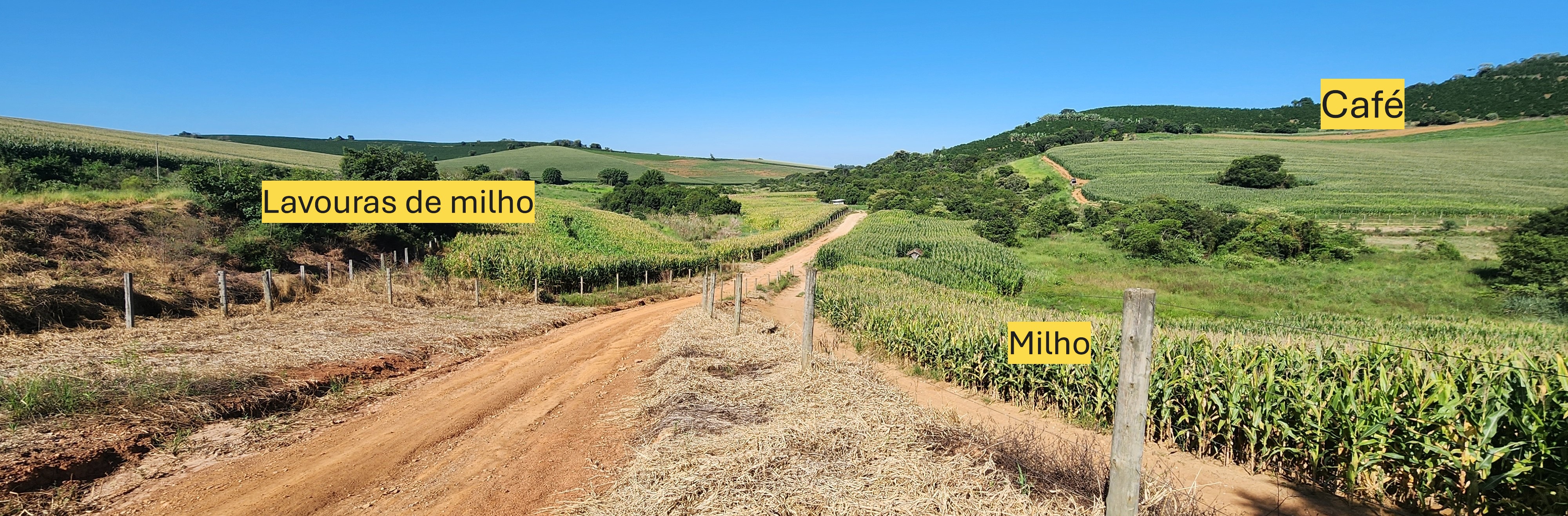 Fazenda à venda com 1 quarto, 1620000m² - Foto 2