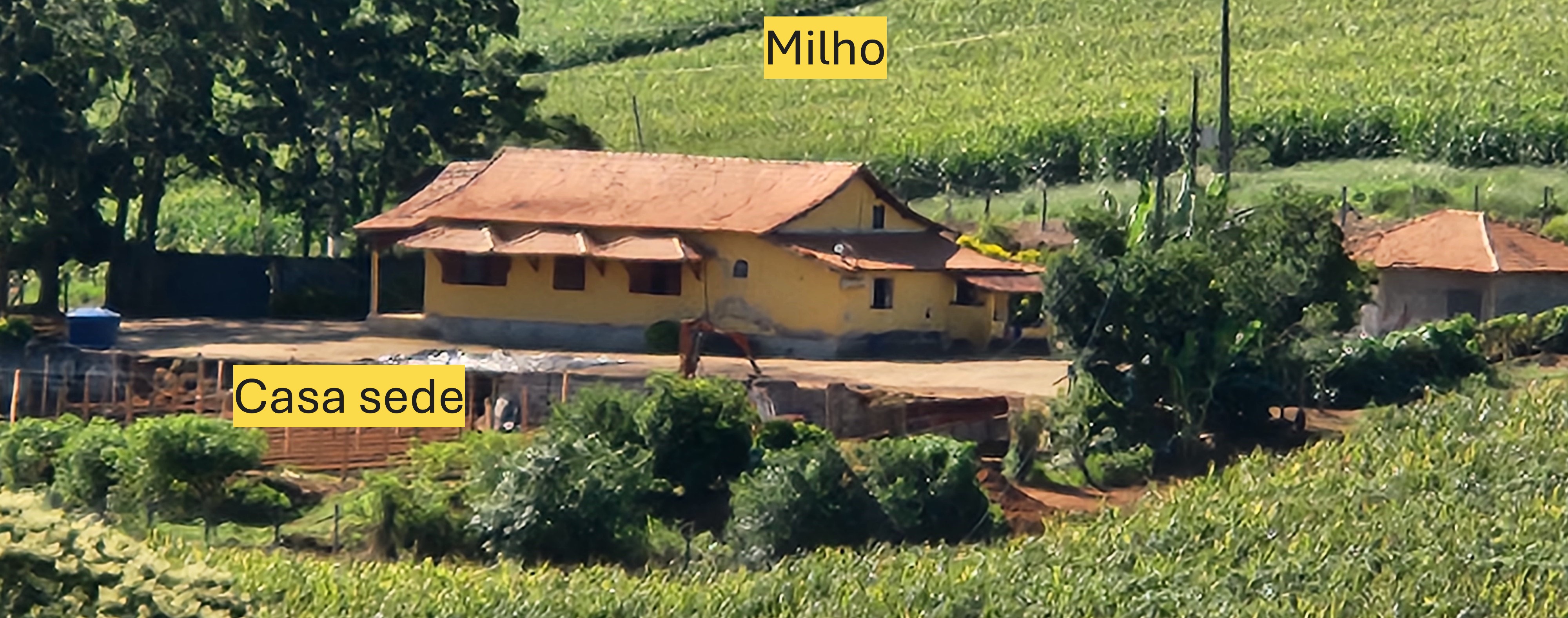 Fazenda à venda com 1 quarto, 1620000m² - Foto 20