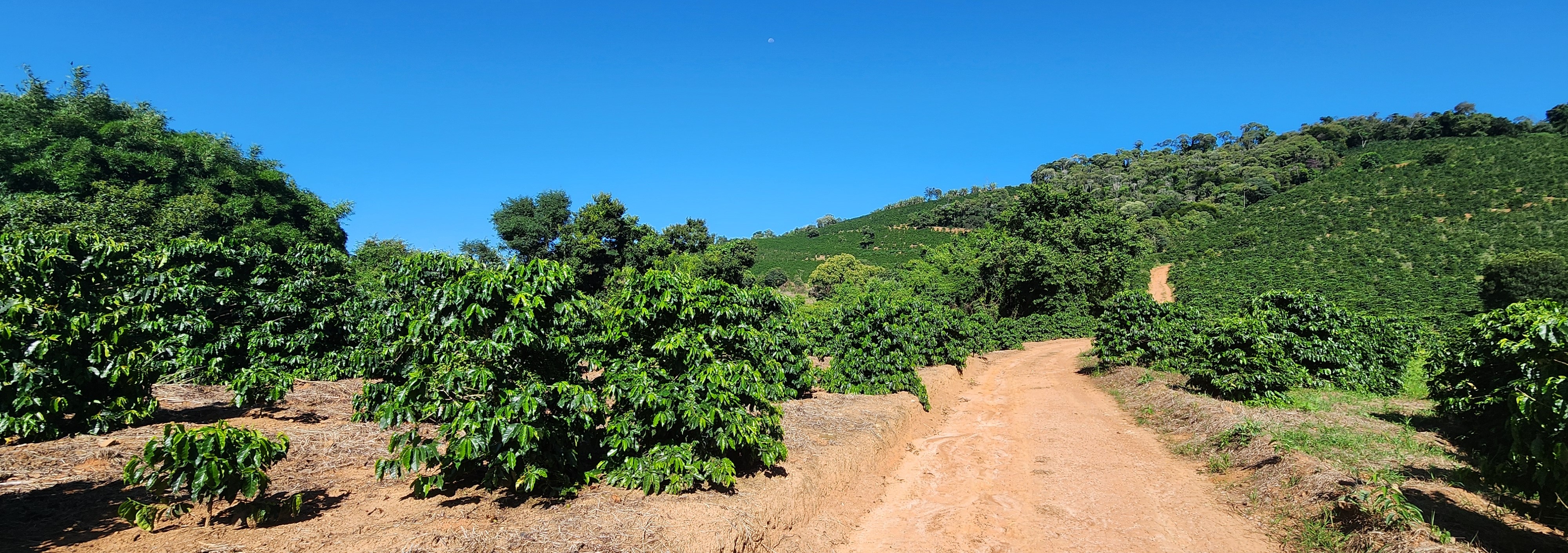 Fazenda à venda com 1 quarto, 1620000m² - Foto 13
