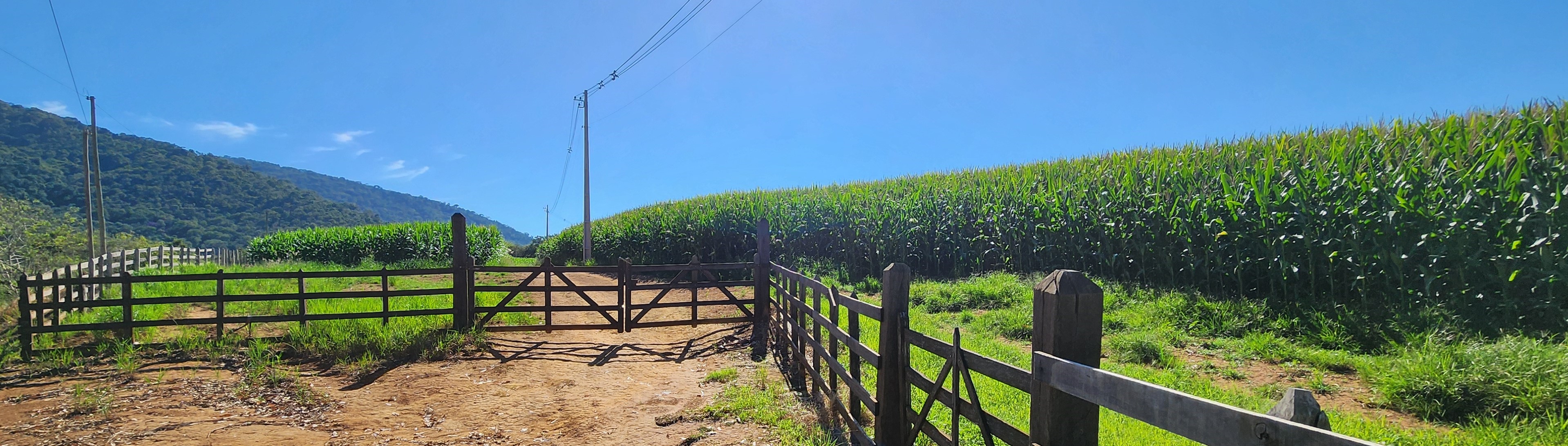 Fazenda à venda com 1 quarto, 1620000m² - Foto 11