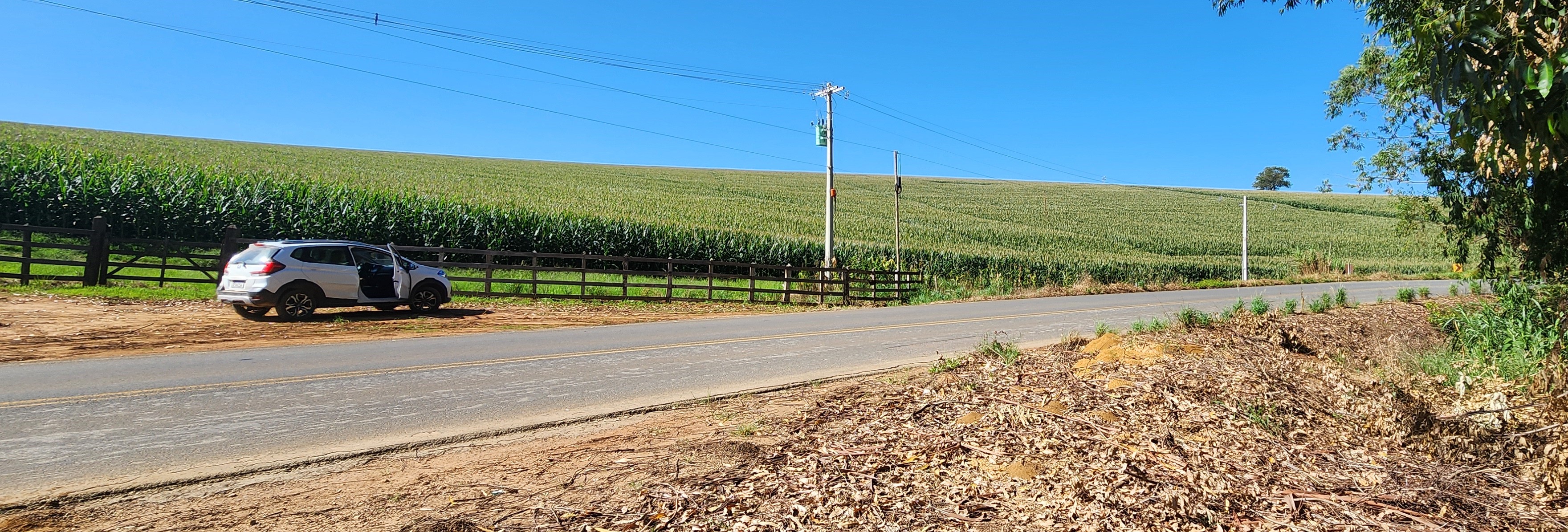 Fazenda à venda com 1 quarto, 1620000m² - Foto 1