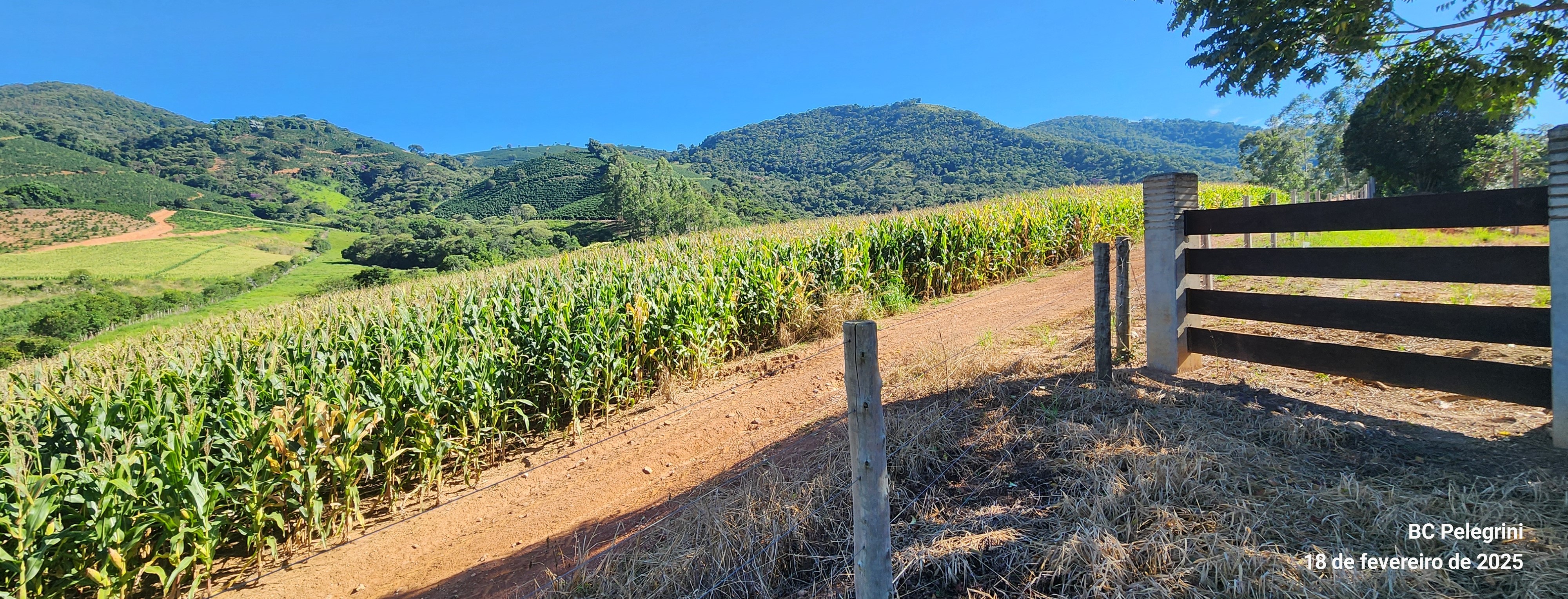 Fazenda à venda com 1 quarto, 1620000m² - Foto 4