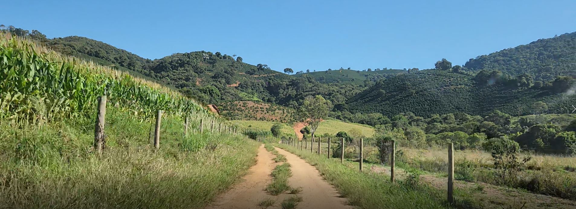Fazenda à venda com 1 quarto, 1620000m² - Foto 21