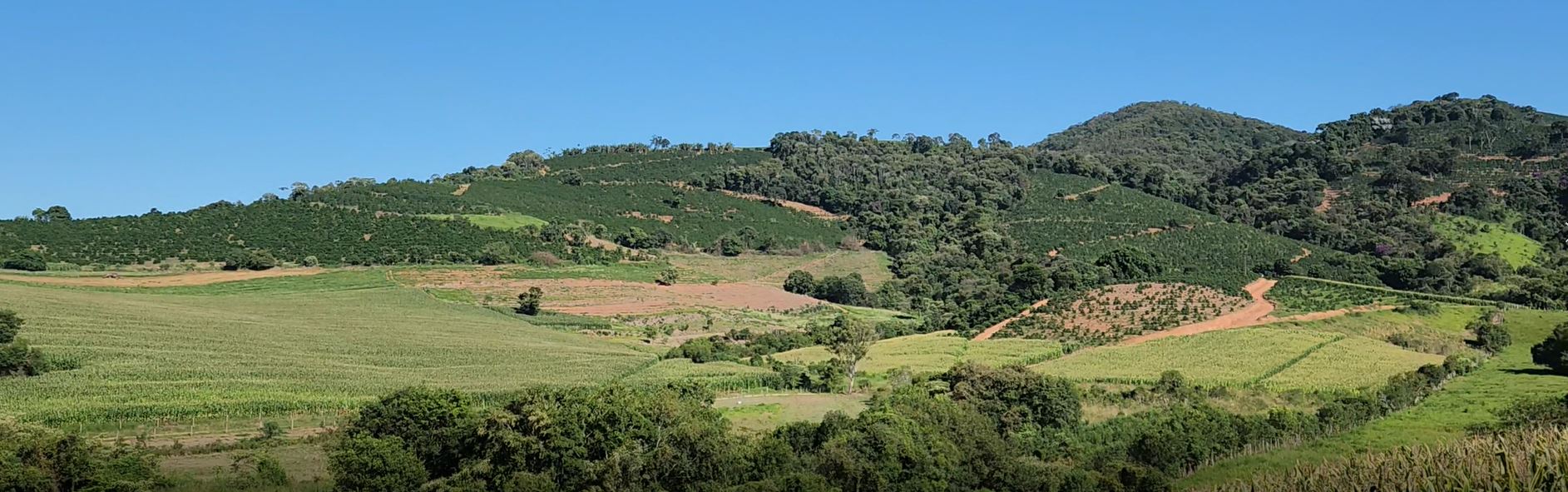 Fazenda à venda com 1 quarto, 1620000m² - Foto 24