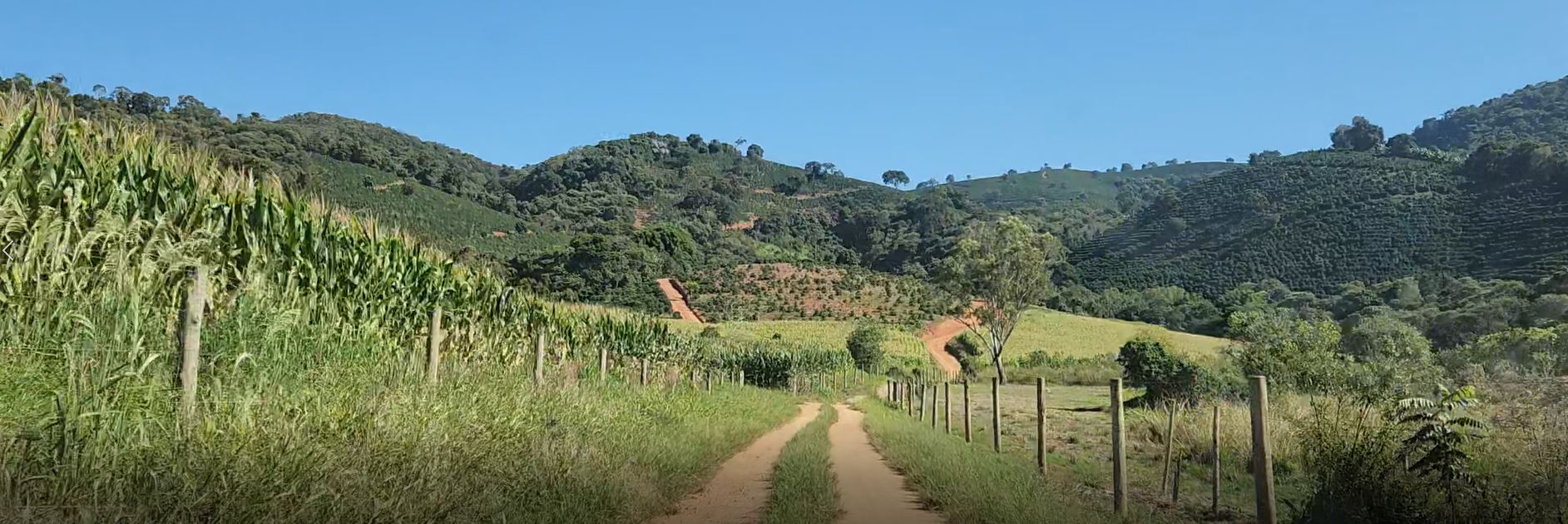 Fazenda à venda com 1 quarto, 1620000m² - Foto 15