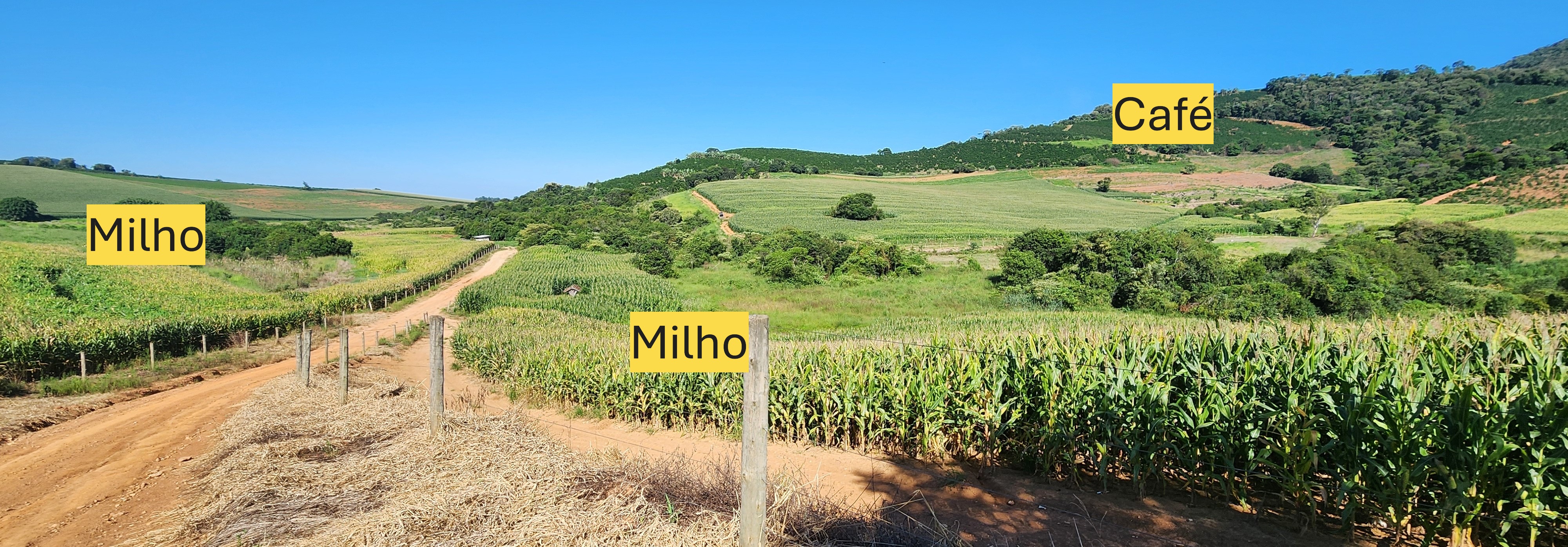 Fazenda à venda com 1 quarto, 1620000m² - Foto 7
