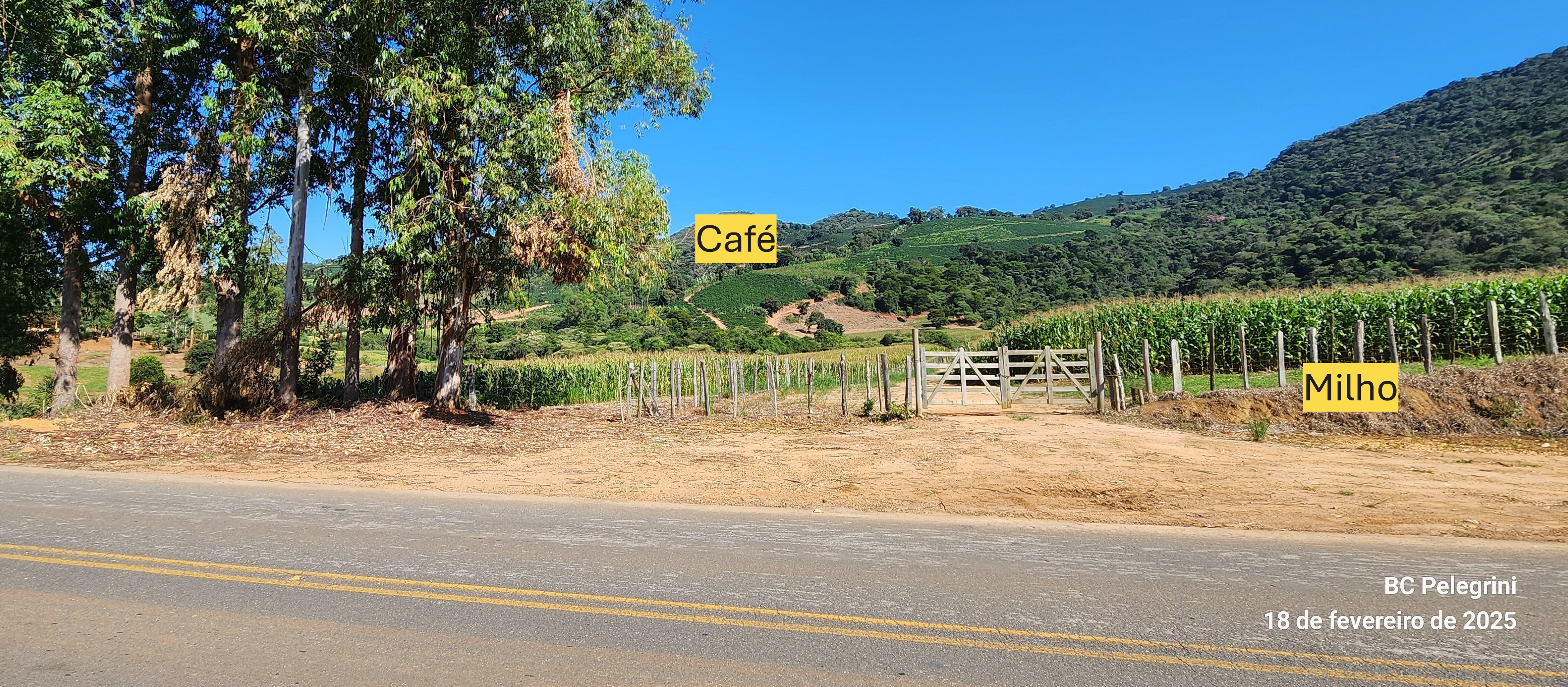 Fazenda à venda com 1 quarto, 1620000m² - Foto 12