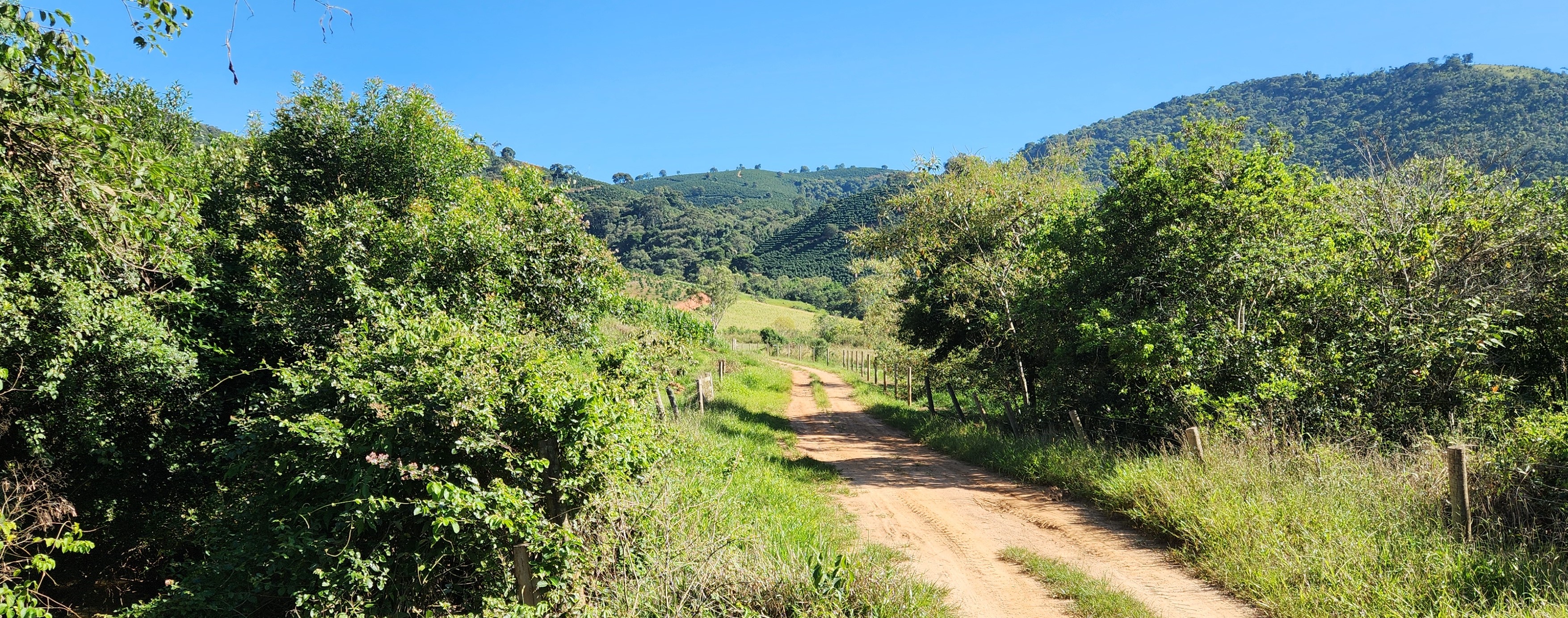 Fazenda à venda com 1 quarto, 1620000m² - Foto 6