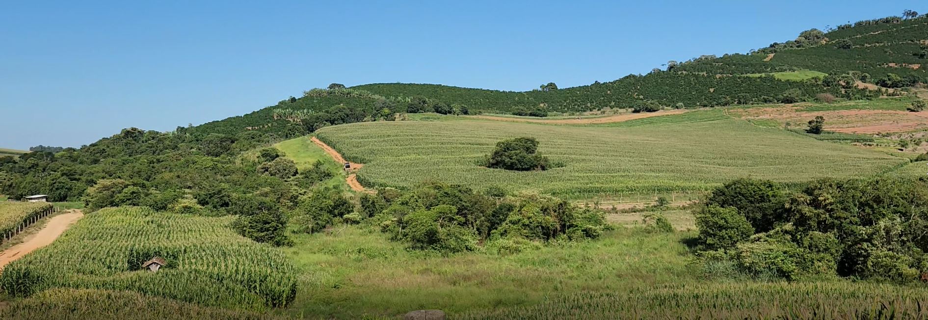 Fazenda à venda com 1 quarto, 1620000m² - Foto 25