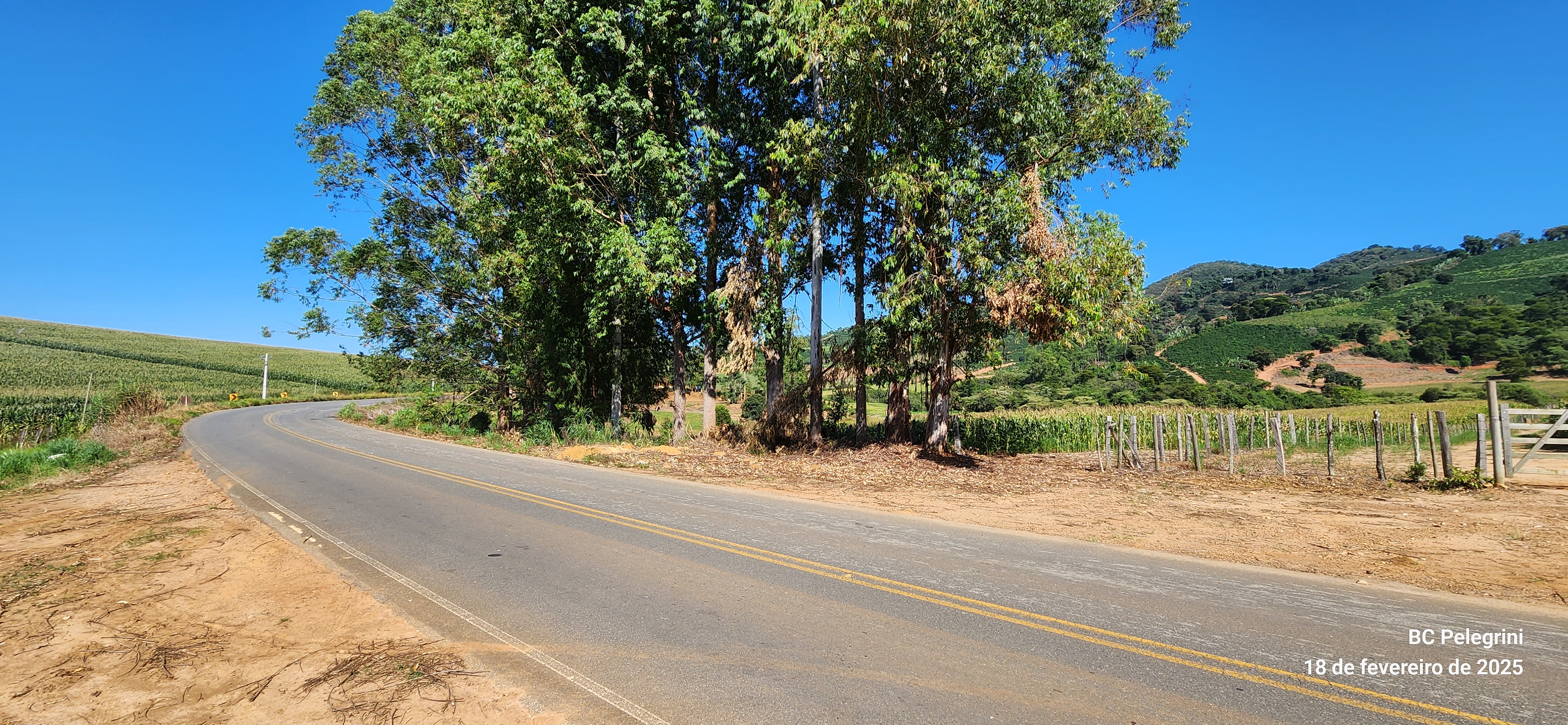 Fazenda à venda com 1 quarto, 1620000m² - Foto 8