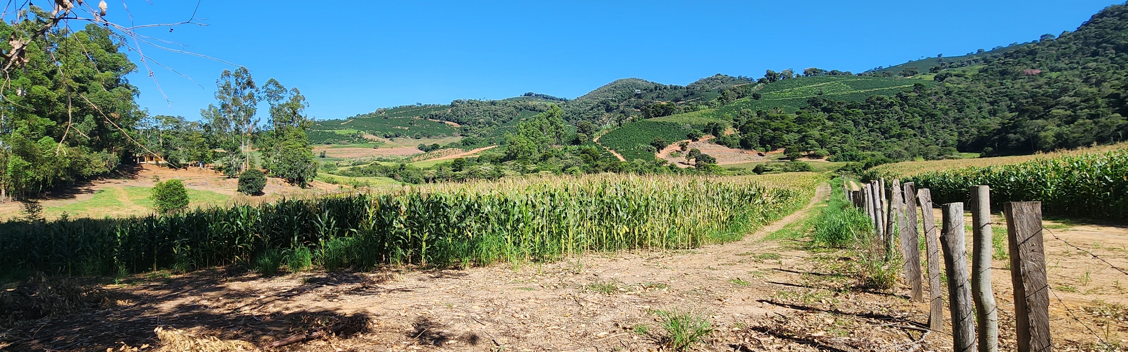 Fazenda à venda com 1 quarto, 1620000m² - Foto 23