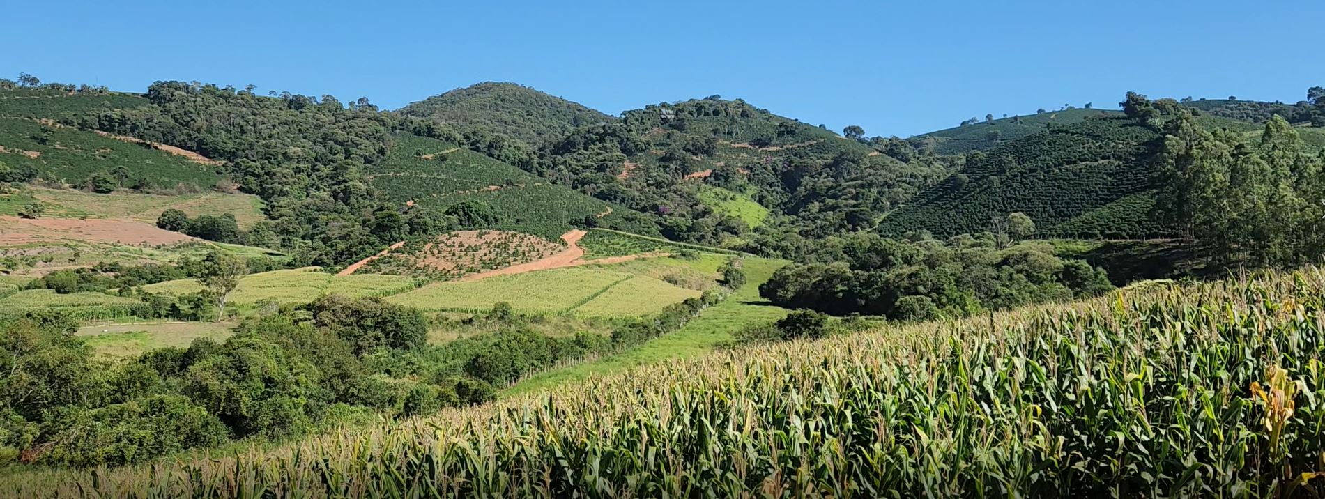 Fazenda à venda com 1 quarto, 1620000m² - Foto 22