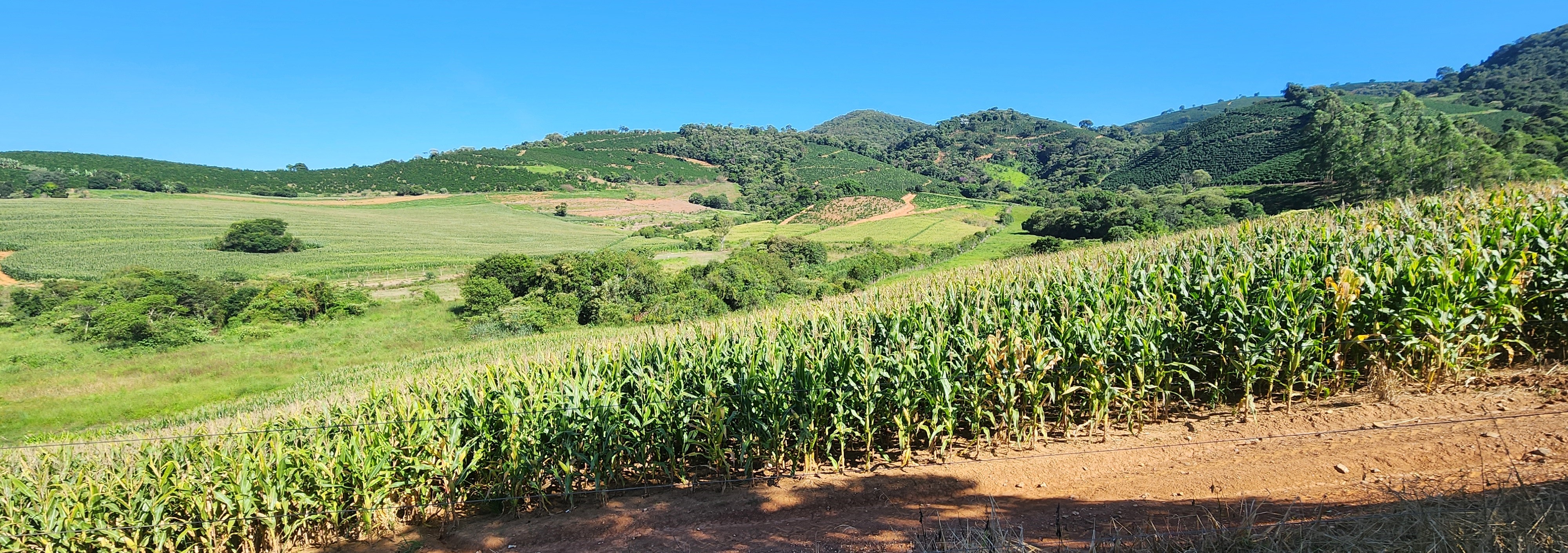 Fazenda à venda com 1 quarto, 1620000m² - Foto 3