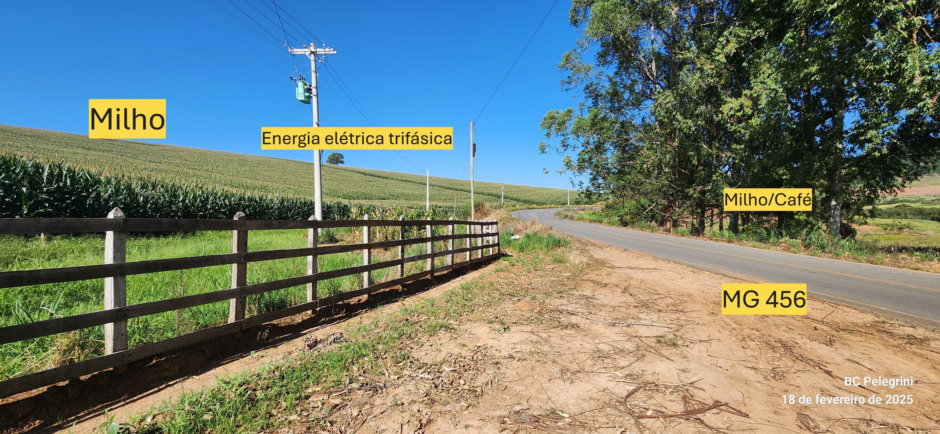 Fazenda à venda com 1 quarto, 1620000m² - Foto 10
