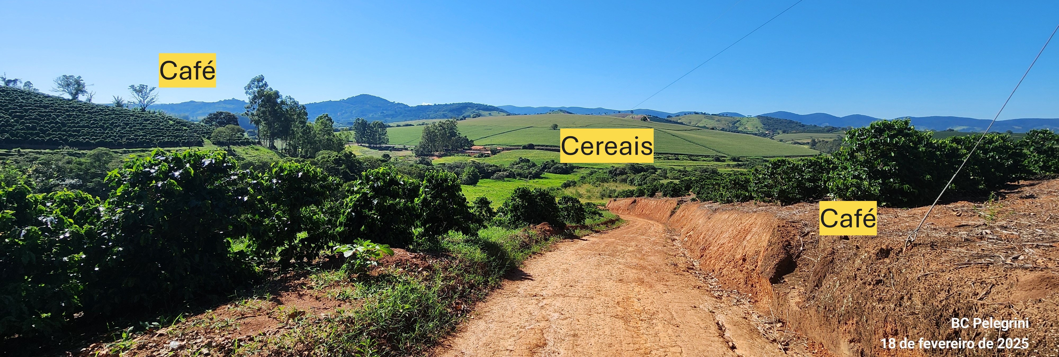 Fazenda à venda com 1 quarto, 1620000m² - Foto 18