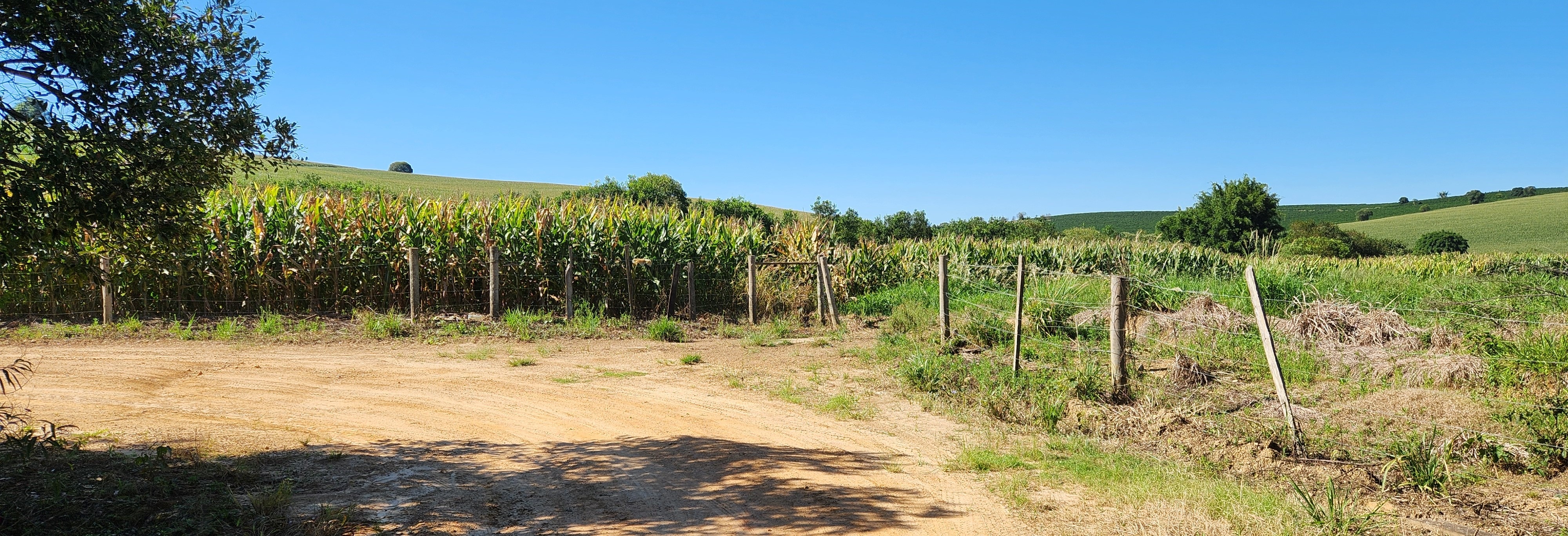 Fazenda à venda com 1 quarto, 1620000m² - Foto 9