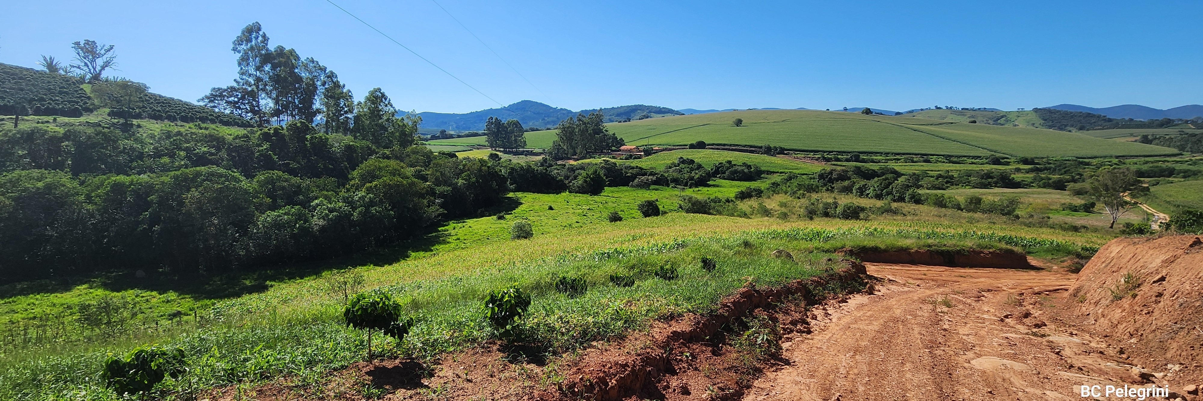 Fazenda à venda com 1 quarto, 1620000m² - Foto 19