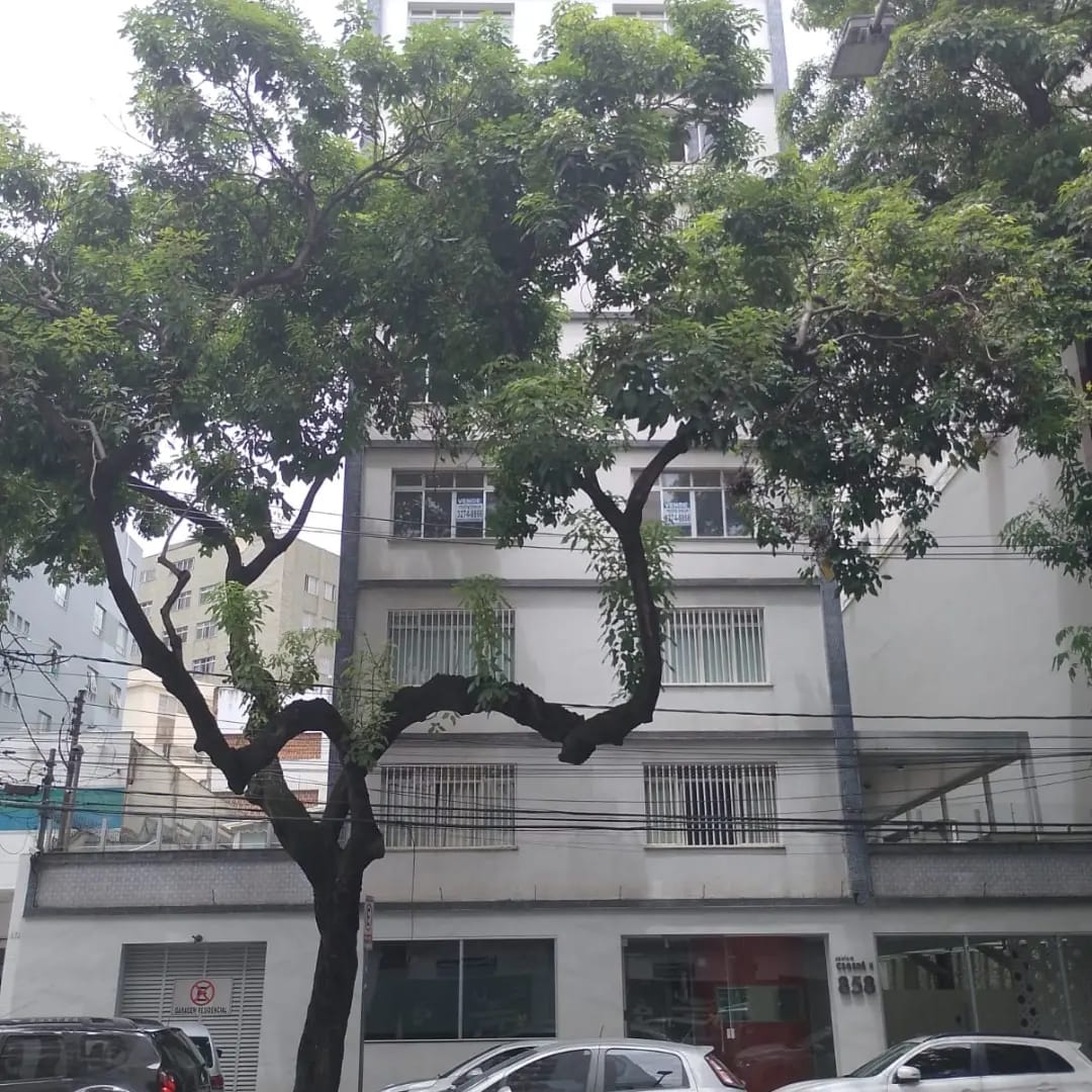 Apartamento à venda com 4 quartos, 220m² - Foto 22
