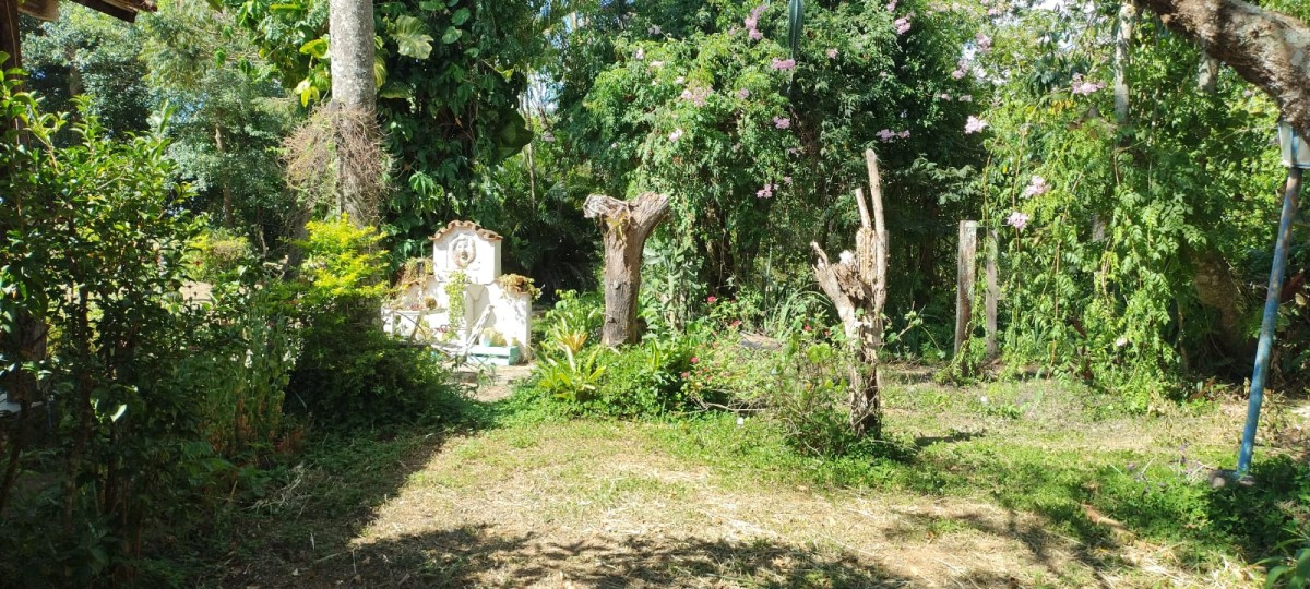 Fazenda à venda com 1 quarto - Foto 3