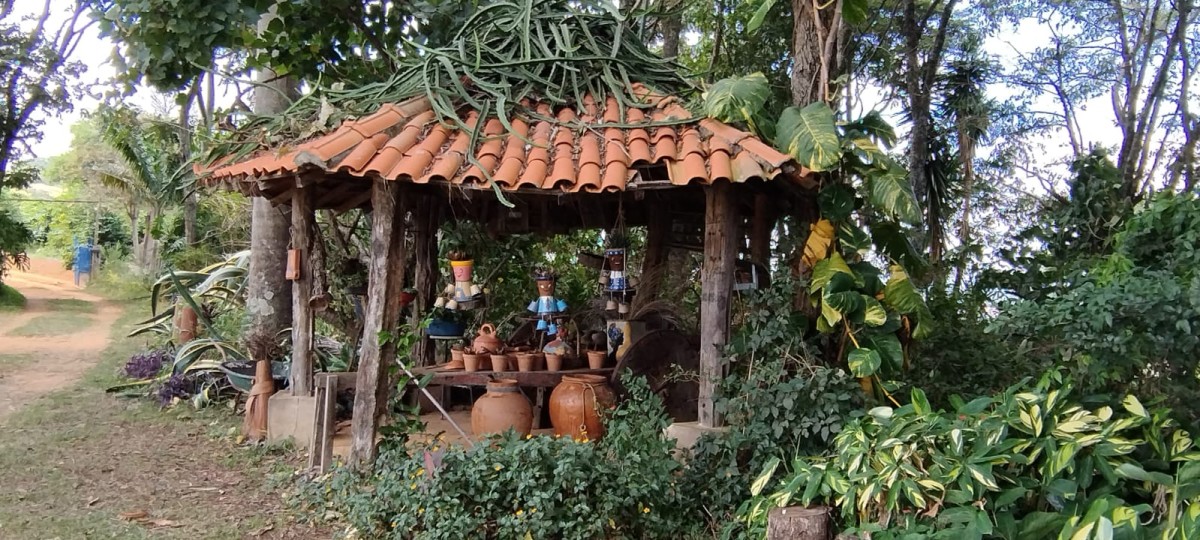 Fazenda à venda com 1 quarto - Foto 15
