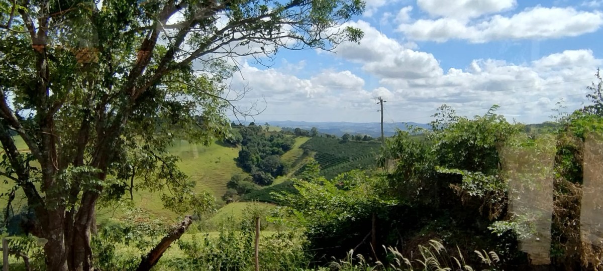 Fazenda à venda com 1 quarto - Foto 5