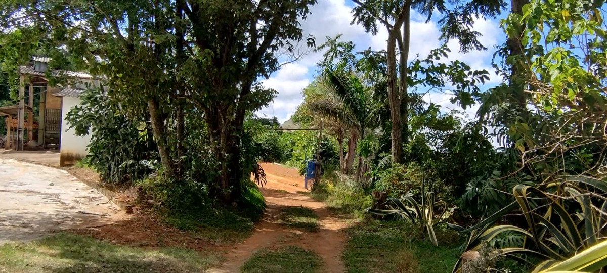 Fazenda à venda com 1 quarto - Foto 24