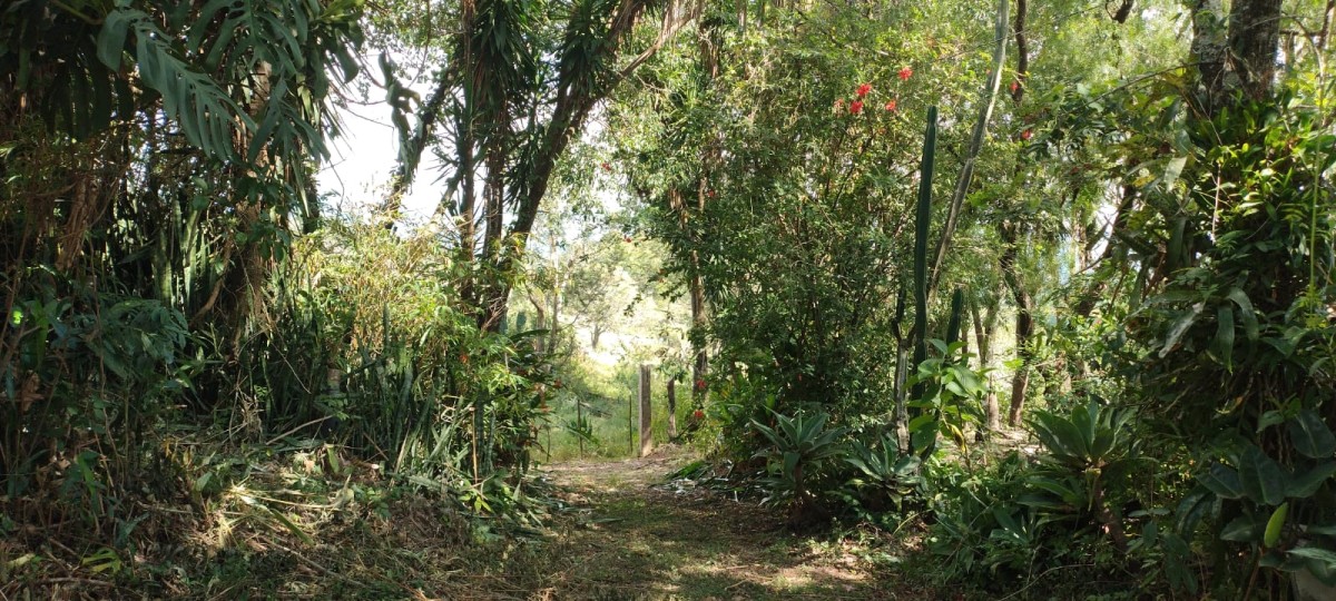 Fazenda à venda com 1 quarto - Foto 2