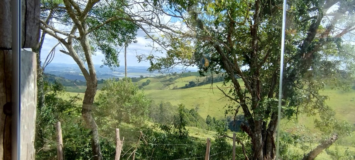 Fazenda à venda com 1 quarto - Foto 11