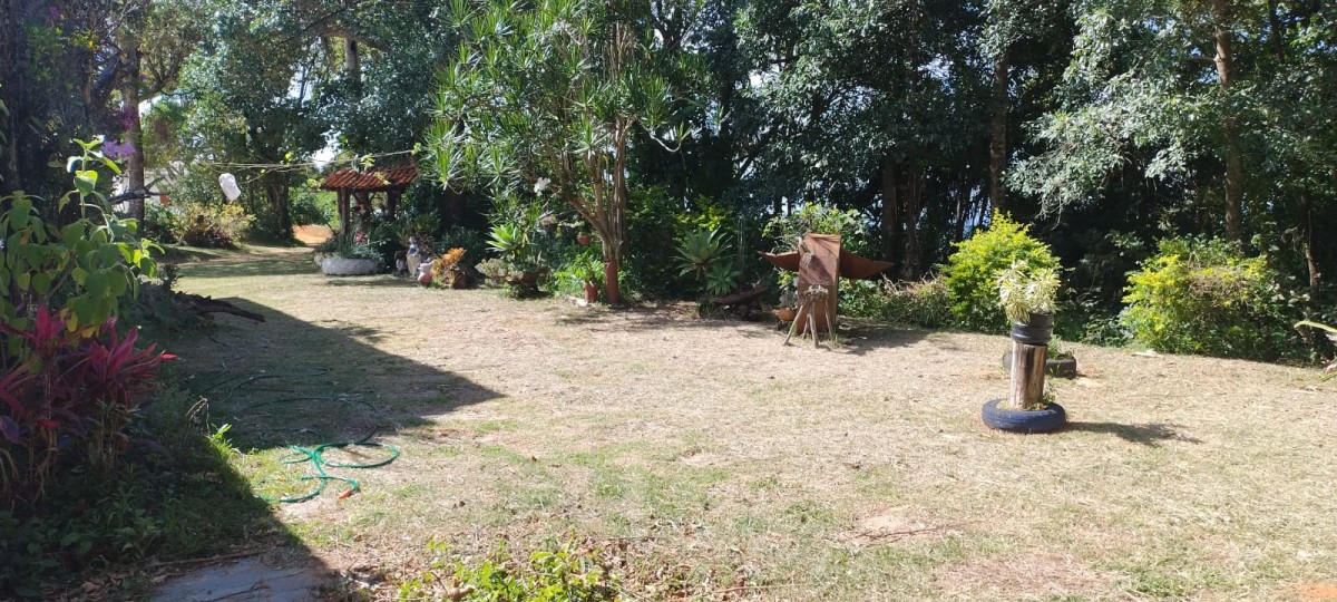 Fazenda à venda com 1 quarto - Foto 13