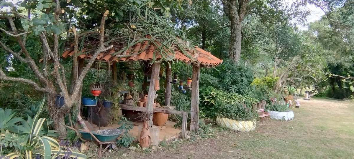 Fazenda à venda com 1 quarto - Foto 17