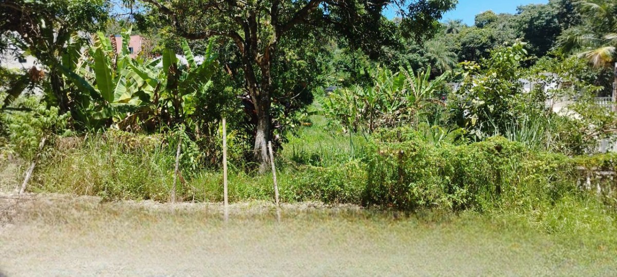 Terreno à venda, 450m² - Foto 3