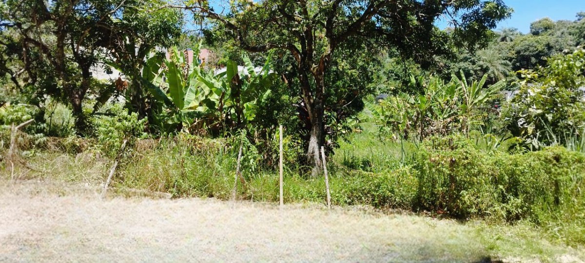 Terreno à venda, 450m² - Foto 2