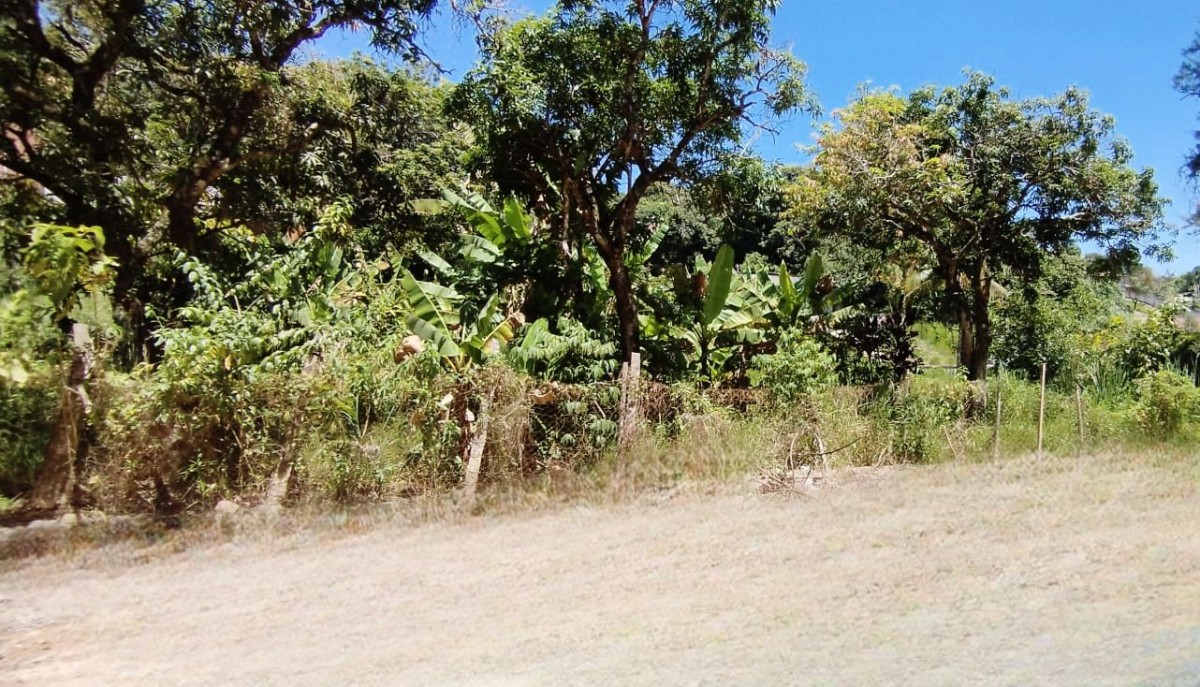 Terreno à venda, 450m² - Foto 6