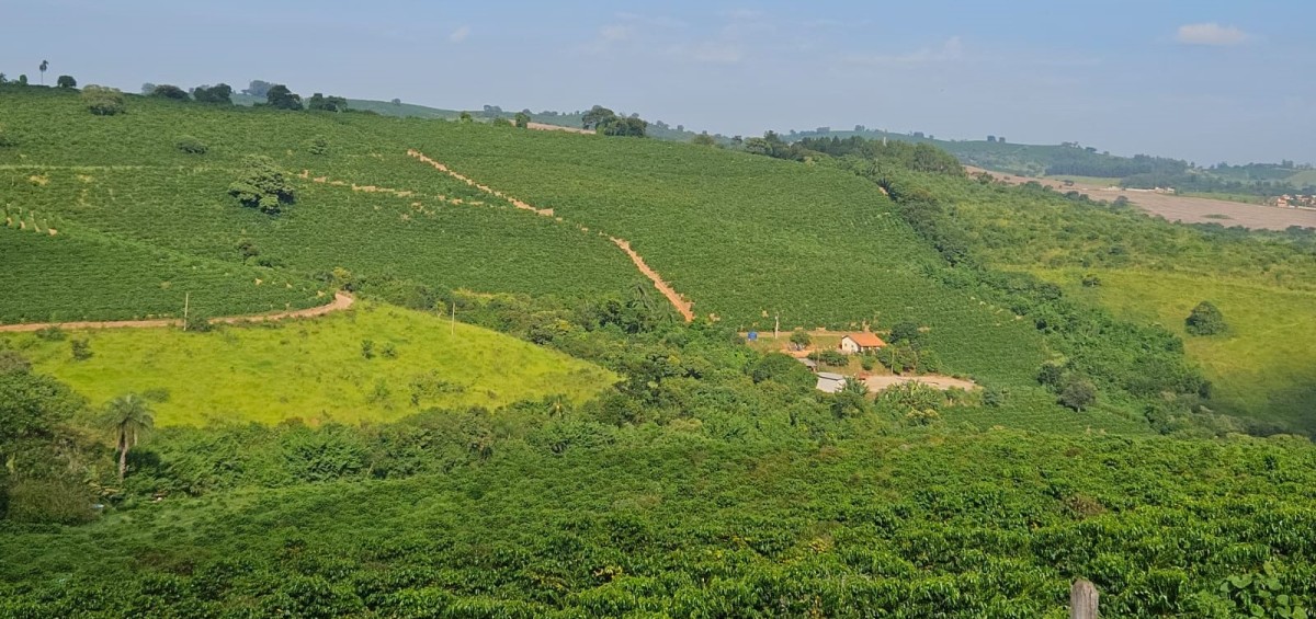 Sítio à venda com 1 quarto, 242000m² - Foto 11
