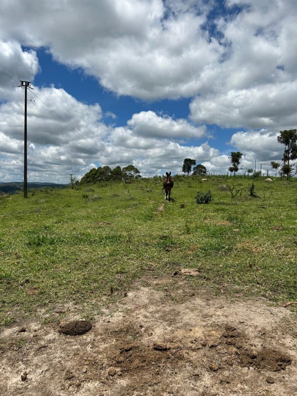 Sítio à venda com 3 quartos, 66300m² - Foto 24