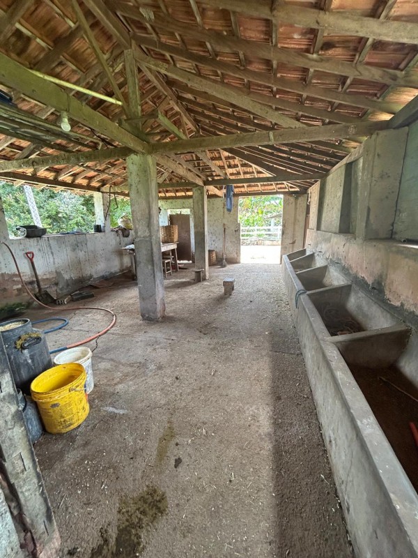 Sítio à venda com 3 quartos, 66300m² - Foto 15
