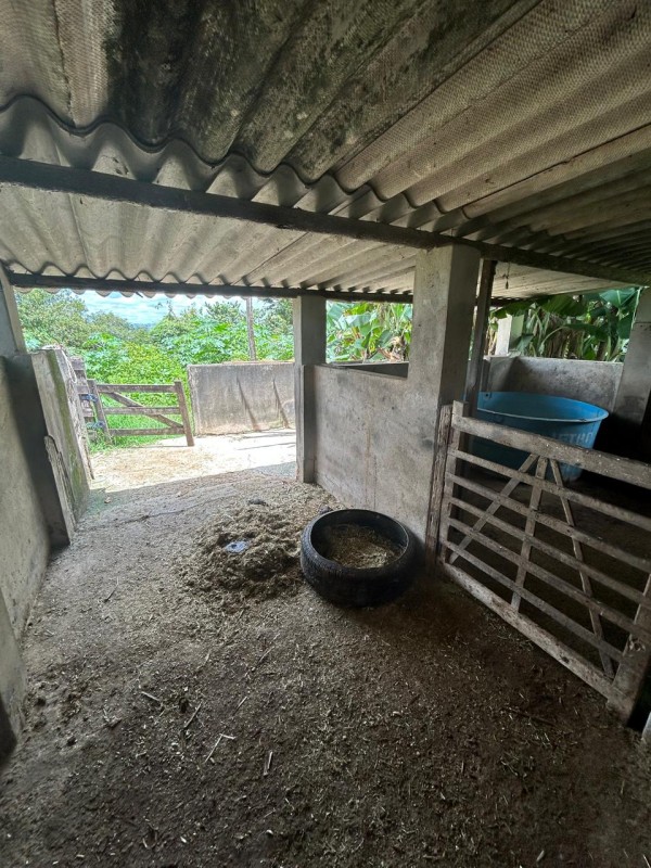 Sítio à venda com 3 quartos, 66300m² - Foto 16