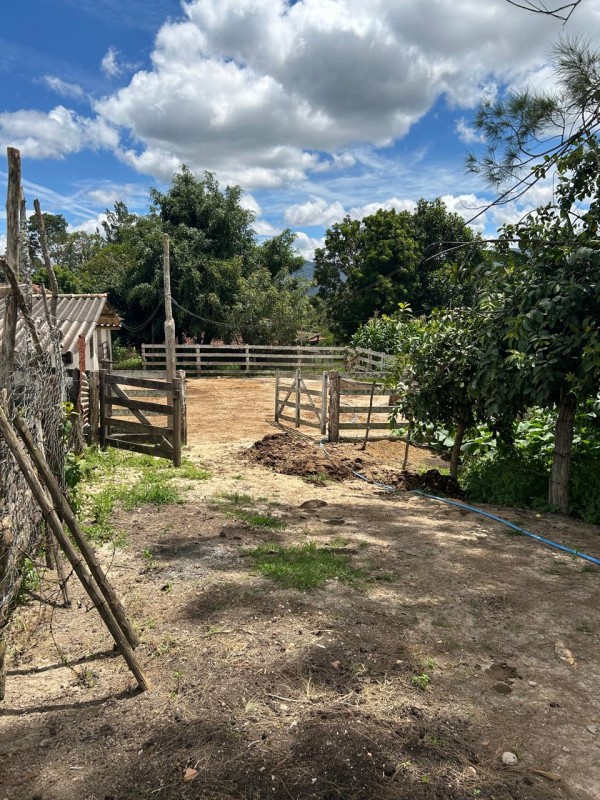Sítio à venda com 3 quartos, 66300m² - Foto 17