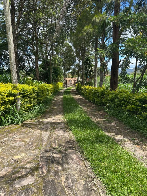 Sítio à venda com 3 quartos, 66300m² - Foto 4