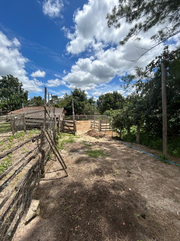 Sítio à venda com 3 quartos, 66300m² - Foto 9