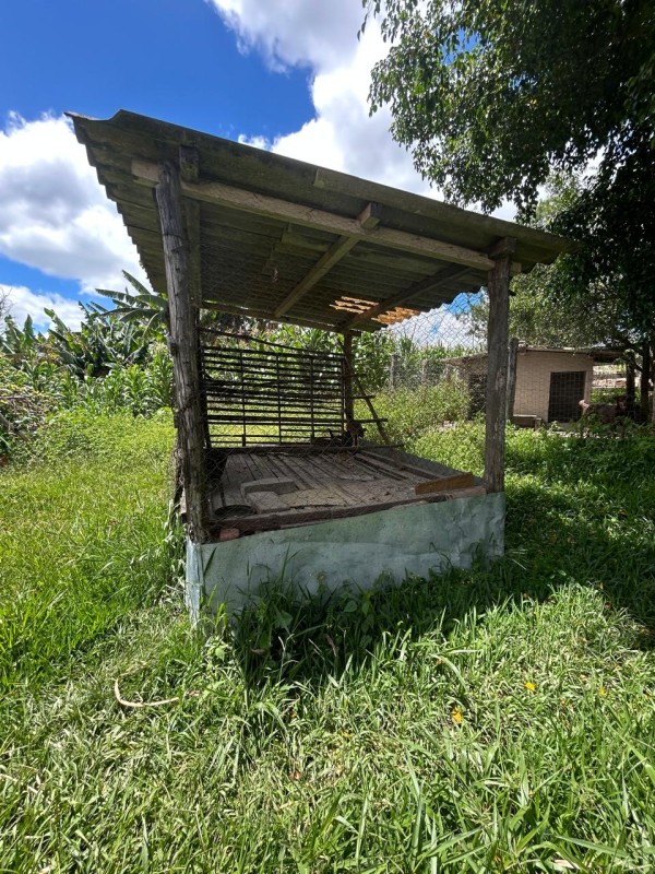 Sítio à venda com 3 quartos, 66300m² - Foto 7