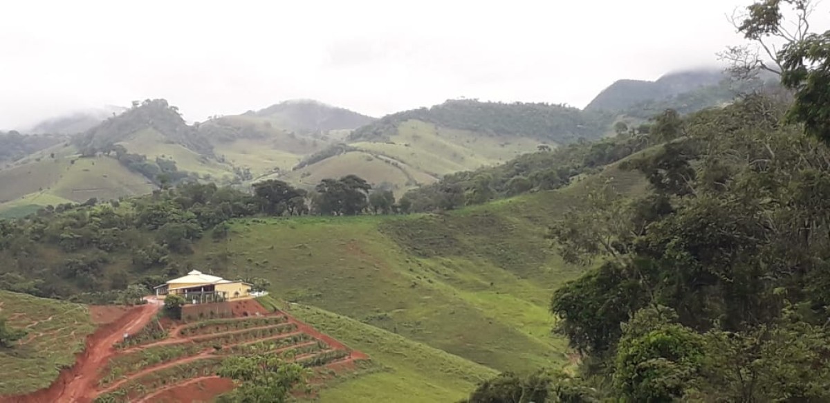 Fazenda à venda com 4 quartos, 450m² - Foto 10
