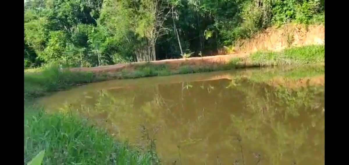 Fazenda à venda com 4 quartos, 450m² - Foto 9